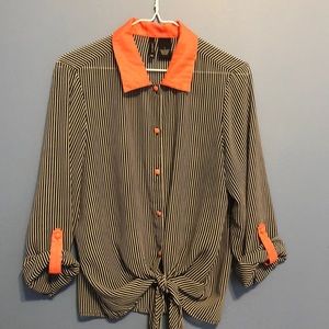 Large New Direction Sheer Collared Blouse